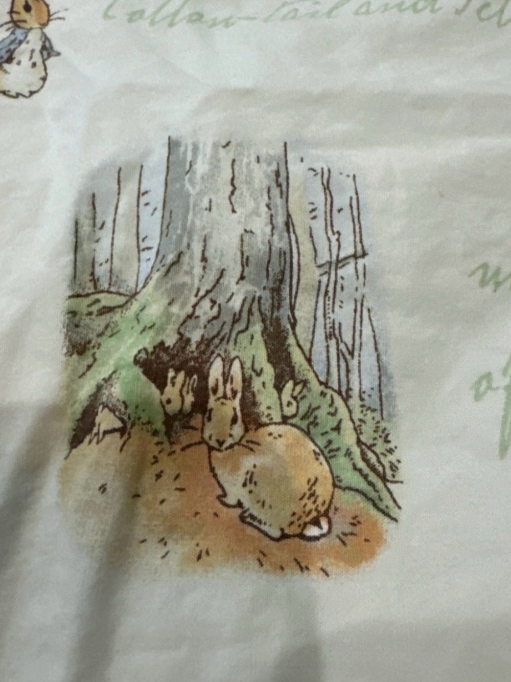 Pottery Barn Peter Rabbit Crib Bedsheet - Picture 3 of 6